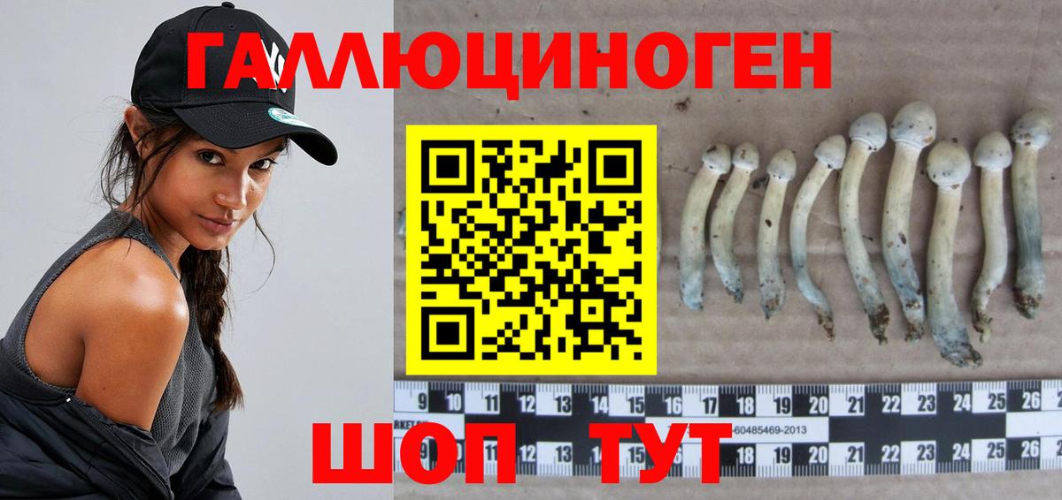 Галлюциногенные грибы Magic Shrooms Медногорск